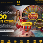 Maltcasino casino sitesi